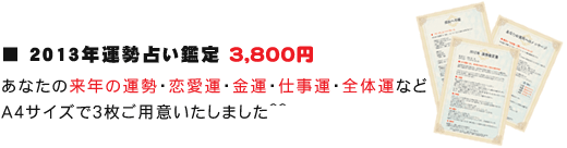 2013年運勢鑑定書-販売価格3,800円