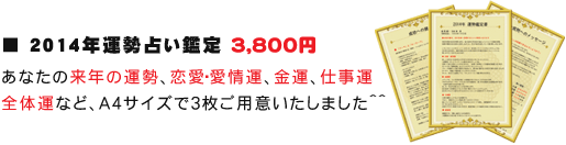 2014年運勢鑑定書-販売価格3,800円